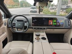 Li Auto L9 2022 Max - ფოტო 10