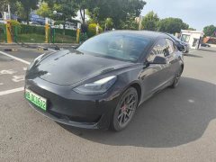 Tesla Model 3 Standard Range RWD Upgrade 3D6 - ფოტო 2