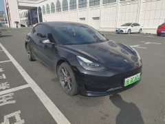 Tesla Model 3 Standard Range RWD Upgrade 3D6 - ფოტო 3