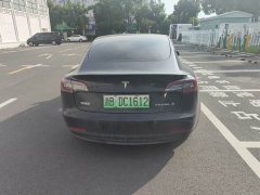 Tesla Model 3 Standard Range RWD Upgrade 3D6 - ფოტო 4