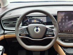 Denza BYD Denza D9 2024 DM-i 1050 Premium - ფოტო 7