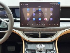 Denza BYD Denza D9 2024 DM-i 1050 Premium - ფოტო 8