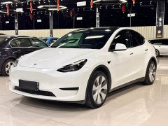 Tesla Model Y Rear-Wheel Drive - photo 1
