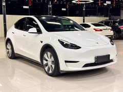 Tesla Model Y Rear-Wheel Drive - photo 3