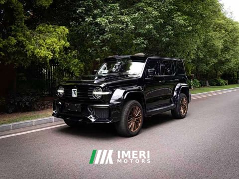 2022 Tank 300 2021 Off-Road Edition 2.0T Conqueror - ავტომობილი ჩინეთიდან