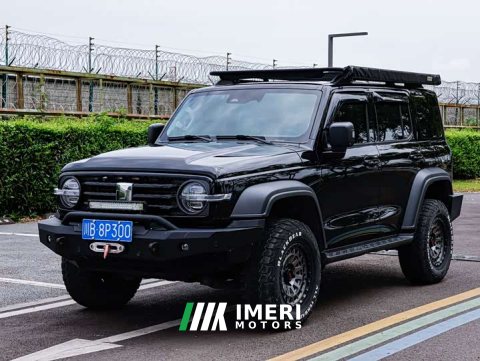 2021 Tank 300 Off-Road Edition 2.0T Conqueror - ავტომობილი ჩინეთიდან