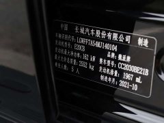 Tank 300 Off-Road Edition 2.0T Conqueror - ფოტო 11