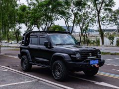 Tank 300 Off-Road Edition 2.0T Conqueror - ფოტო 5