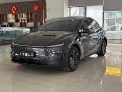 Tesla Model Y Rear-Wheel Drive - ფოტო 1