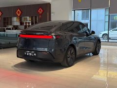 Tesla Model Y Rear-Wheel Drive - ფოტო 6