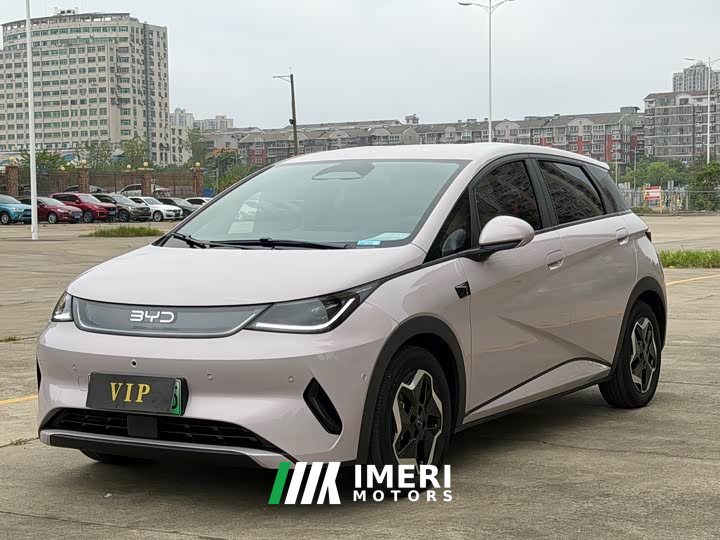 BYD Dolphin Smart Drive 420km Freedom Edition - ავტომობილი ჩინეთიდან