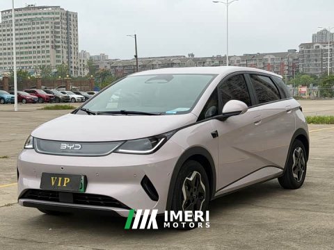2025 BYD Dolphin Smart Drive 420km Freedom Edition - автомобиль из Китая