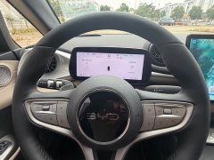 BYD Dolphin Smart Drive 420km Freedom Edition - ფოტო 16