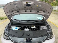 BYD Dolphin Smart Drive 420km Freedom Edition - ფოტო 18
