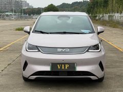 BYD Dolphin Smart Drive 420km Freedom Edition - ფოტო 2