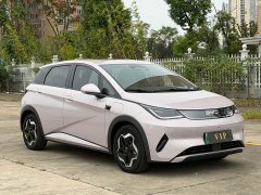 BYD Dolphin Smart Drive 420km Freedom Edition - ფოტო 3