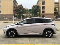 BYD Dolphin Smart Drive 420km Freedom Edition - ფოტო 5