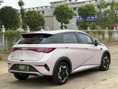 BYD Dolphin Smart Drive 420km Freedom Edition - ფოტო 7