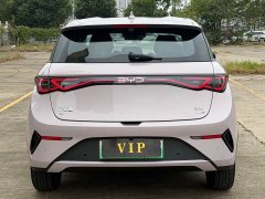 BYD Dolphin Smart Drive 420km Freedom Edition - ფოტო 8