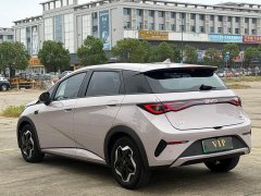 BYD Dolphin Smart Drive 420km Freedom Edition - ფოტო 9