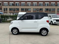Wuling Hongguang MINIEV Macaron Fashion Edition LFP Battery - ფოტო 7