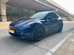 Tesla Model Y Long Range All-Wheel Drive 3D7 - ფოტო 1