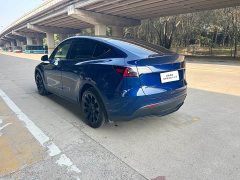 Tesla Model Y Long Range All-Wheel Drive 3D7 - ფოტო 7