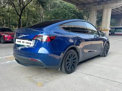 Tesla Model Y Long Range All-Wheel Drive 3D7 - ფოტო 8