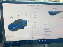Tesla Model Y Long Range All-Wheel Drive 3D7 - ფოტო 9