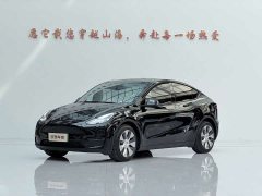 Tesla Model Y Standard Range RWD - ფოტო 1