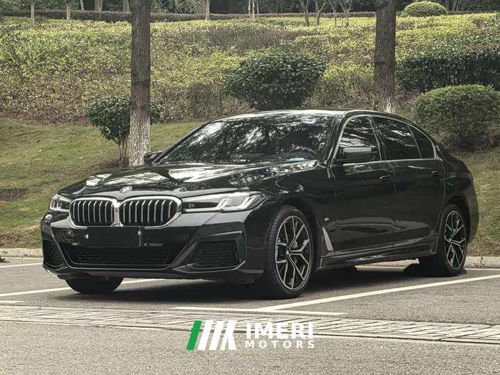 BMW 5 Series 530Li Luxury M Sport Package