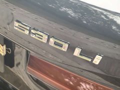 BMW 5 Series 530Li Luxury M Sport Package - ფოტო 16