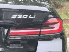 BMW 5 Series 530Li Luxury M Sport Package - ფოტო 20