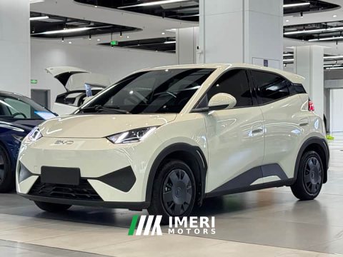 2025 BYD Seagull Smart Drive 305km Vitality Edition - ავტომობილი ჩინეთიდან