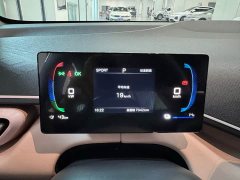 BYD Seagull Smart Drive 305km Vitality Edition - ფოტო 10
