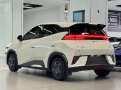 BYD Seagull Smart Drive 305km Vitality Edition - ფოტო 6