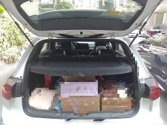 Volkswagen Golf 2023 Facelift 280TSI DSG R-Line Lite - ფოტო 15