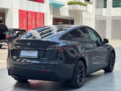 Tesla Model Y Rear-Wheel Drive - ფოტო 12