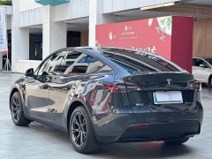 Tesla Model Y Rear-Wheel Drive - ფოტო 14