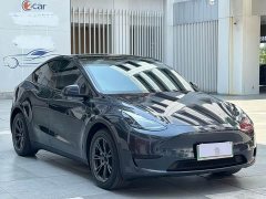 Tesla Model Y Rear-Wheel Drive - ფოტო 3