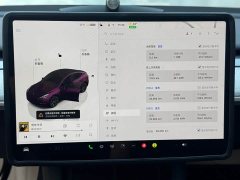 Tesla Model Y Rear-Wheel Drive - ფოტო 8