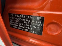 Tank 300 Off-Road Edition 2.0T Conqueror - ფოტო 11