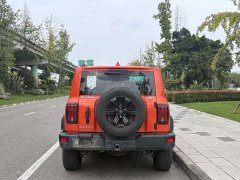 Tank 300 Off-Road Edition 2.0T Conqueror - ფოტო 4