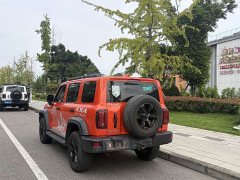 Tank 300 Off-Road Edition 2.0T Conqueror - ფოტო 5