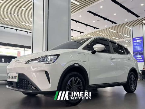 2024 Neta AYA 2023 318 Lite - ავტომობილი ჩინეთიდან