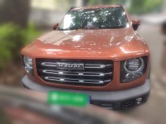 Great Wall Dachshund 2.0T DCT Two-Wheel Drive Chinese Hunting Dog Edition - ფოტო 2