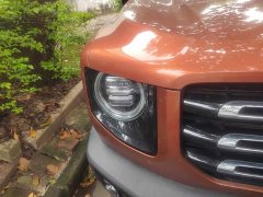 Great Wall Dachshund 2.0T DCT Two-Wheel Drive Chinese Hunting Dog Edition - ფოტო 7