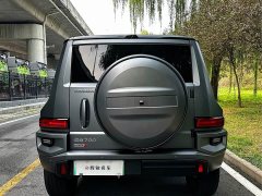 Tank 700 New Energy 2024 Hi4-T Extreme Edition - ფოტო 10