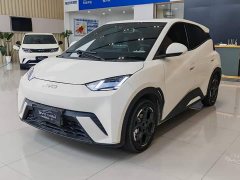 BYD Seagull 2025 405km Flying Edition - ფოტო 1