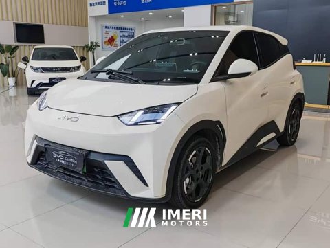 2024 BYD Seagull 2025 405km Flying Edition - ავტომობილი ჩინეთიდან